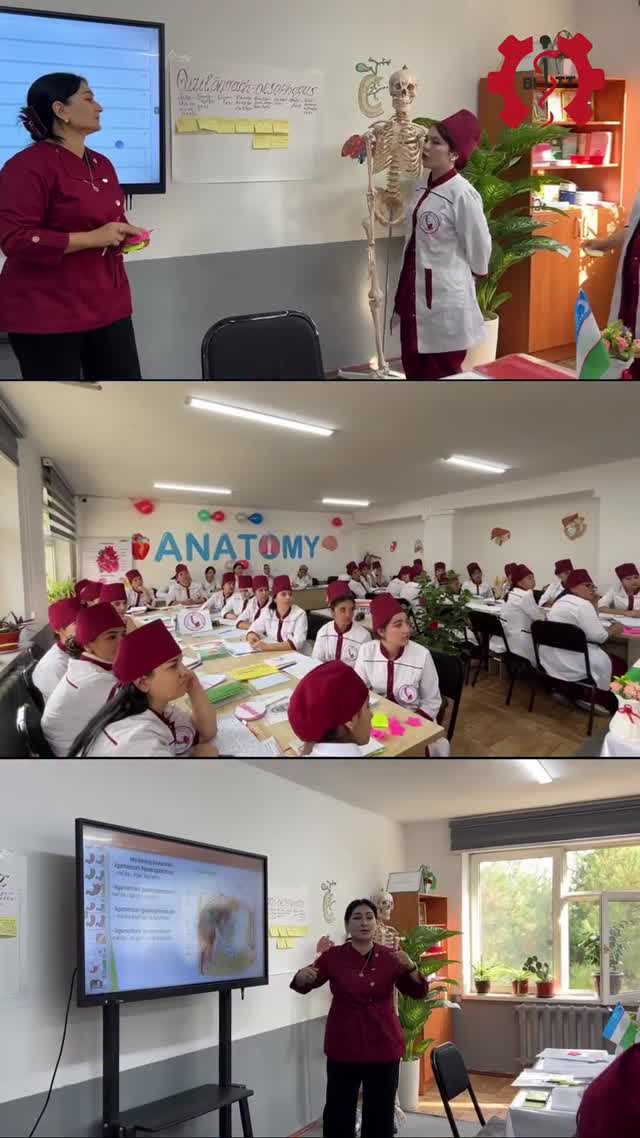 Anatomiya fanidan ochiq dars — Me'daning tuzilishi va vazifalari